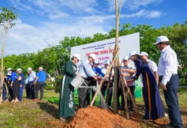Cà Mau: Phát động trồng cây nhớ Bác nhân kỷ niệm 135 năm ngày sinh Chủ tịch Hồ Chí Minh