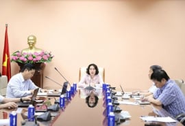 Bộ Y tế họp trực tuyến về công tác phòng, chống dịch bệnh