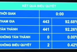 Bổ sung hơn 4.000 tỉ đồng cho Bộ Y tế để quyết toán viện trợ chống dịch