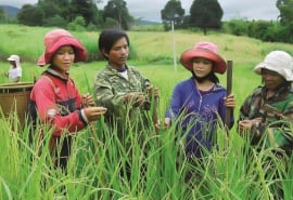 Kon Tum: Đẩy nhanh thực hiện hoàn thành mục tiêu về giảm nghèo năm 2025 và giai đoạn 2021 – 2025