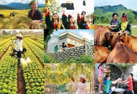 Thành lập Ban Chỉ đạo Trung ương các chương trình mục tiêu quốc gia giai đoạn 2021 - 2025