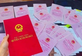Giải mã lý do nhà đầu tư đổ dồn về Tây Nam Bộ