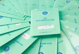 Long An: Tăng cường thực hiện chính sách bảo hiểm xã hội, bảo hiểm y tế, bảo hiểm thất nghiệp