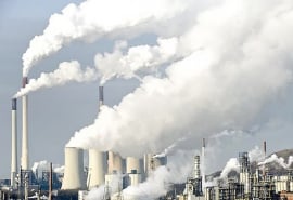 TP. HCM: Tăng cường kiểm tra, xử lý các cơ sở gây ô nhiễm môi trường
