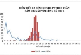 TP.HCM: Ca mắc COVID-19 giảm mạnh, ngành y tế vẫn cảnh giác