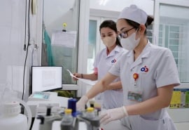 Ký sinh trùng từ thú cưng, nguy cơ tiềm ẩn khiến hàng trăm trẻ mắc bệnh