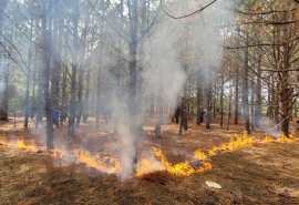 Gia Lai: Tăng cường các biện pháp cấp bách để phòng cháy, chữa cháy rừng