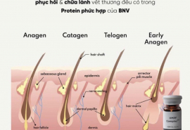HMPF không chỉ là một phương pháp điều trị mà còn là một biện pháp phòng ngừa để duy trì sức khỏe của tóc