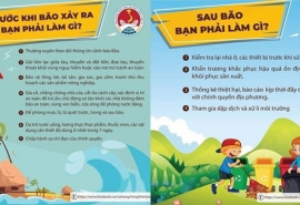 Infographic: Khuyến cáo những việc làm trước, trong và sau bão