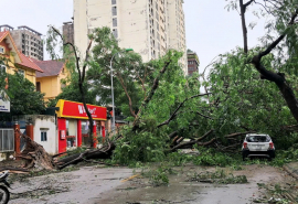 TP. HCM: Hỗ trợ các địa phương phía Bắc khắc phục hậu quả cơn bão số 3