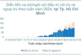 TP. HCM: Tình hình dịch bệnh sởi tính đến tuần 45