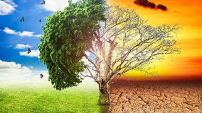 Biến đổi khí hậu ảnh hưởng sức khỏe như thế nào?