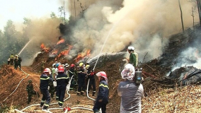 Tăng cường công tác quản lý, bảo vệ rừng, phòng cháy chữa cháy rừng trên địa bàn tỉnh Thừa Thiên Huế