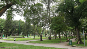 Thực trạng về công viên cây xanh trên địa bàn TP. Hồ Chí Minh