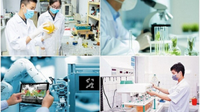 TP. HCM: Triển khai “Chương trình phát triển khoa học công nghệ tại khu công nghệ cao giai đoạn 2025 - 2030” năm 2025