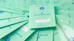 Long An: Tăng cường thực hiện chính sách bảo hiểm xã hội, bảo hiểm y tế, bảo hiểm thất nghiệp