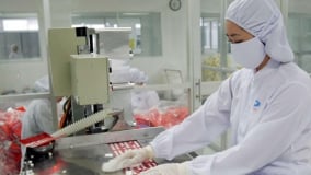 Bộ Y tế quy định mới nhất trình tự đánh giá thực hành tốt sản xuất thuốc, nguyên liệu làm thuốc