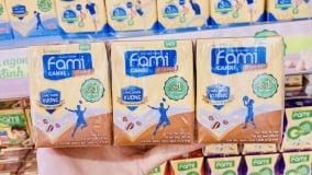 Tác hại của vi khuẩn Coliform có trong sữa đậu nành Fami Canxi bị thu hồi tại Nhật Bản