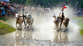 Bảo tồn và phát huy Lễ hội Đua bò Bảy Núi của người Khmer ở An Giang