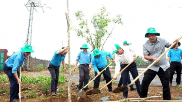 Đắk Lắk: Trồng cây xanh kỷ niệm 134 năm Ngày sinh Chủ tịch Hồ Chí Minh
