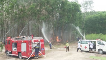 Quảng Ngãi: Tăng cường các biện pháp phòng cháy, chữa cháy rừng năm 2024