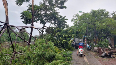 Hà Nội: Bão số 3 khiến 4 người thương vong, thiệt hại lớn về tài sản