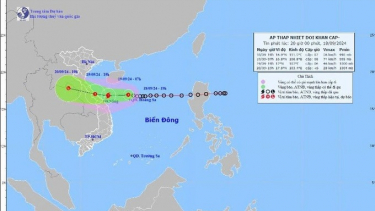 Thủ tướng chỉ đạo tập trung ứng phó áp thấp nhiệt đới có khả năng mạnh lên thành bão và mưa lũ