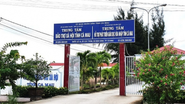 Cà Mau: Triển khai thực hiện quy định của pháp luật về chăm sóc, nuôi dưỡng trẻ em