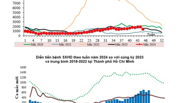 TP. Hồ Chí Minh chủ động phòng chống sốt xuất huyết