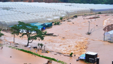 Lâm Đồng: Chủ động ứng phó với thiên tai, mưa lũ tháng cuối năm 2024 và đầu năm 2025