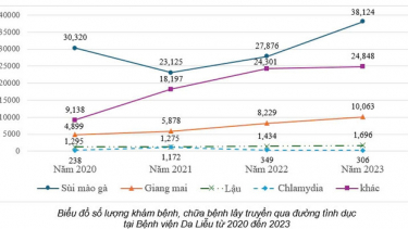 TP. HCM: Triển khai kế hoạch hoạt động phòng, chống các nhiễm khuẩn lây truyền qua đường tình dục trên địa bàn Thành phố giai đoạn 2025 - 2030