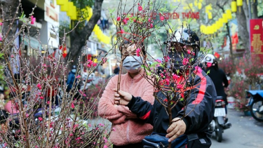 Bảo đảm trật tự, an toàn giao thông dịp Tết Nguyên đán Ất Tỵ và Lễ hội xuân 2025