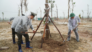 Công an TP. Huế phát động 'Tết trồng cây – Xuân Ất Tỵ” năm 2025