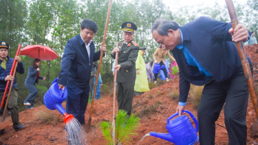 Quảng Nam phát động “Tết trồng cây đời đời nhớ ơn Bác Hồ” xuân Ất Tỵ 2025