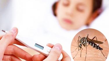 Lâm Đồng: Tăng cường phòng, chống bệnh sốt xuất huyết dengue