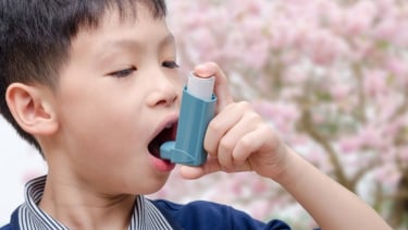 Hưởng ứng Ngày Hen toàn cầu 2025: “Làm cho tất cả có thể tiếp cận với phương pháp điều trị thuốc hít”