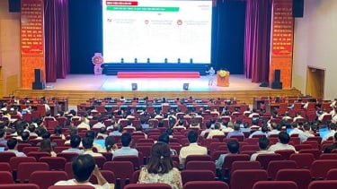 Bình Định ứng dụng AI trong quản lý y tế và triển khai bệnh án điện tử