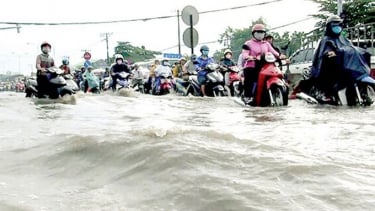 TP. HCM: Tăng cường công tác phòng chống thiên tai và tìm kiếm cứu nạn năm 2025