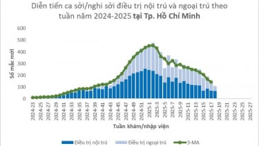 TP. HCM: Số ca mắc bệnh sốt xuất huyết và bệnh sởi đều giảm