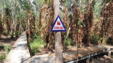 Cà Mau: Gần 4.450 ha rừng dự báo cháy cấp cực kỳ nguy hiểm