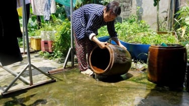 Long An siết chặt phòng, chống sốt xuất huyết, không chủ quan, lơ là, mất cảnh giác