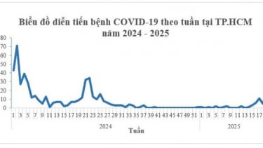 TP. HCM: Số ca COVID-19 tăng nhẹ trong 4 tuần qua, không ghi nhận ca bệnh nặng