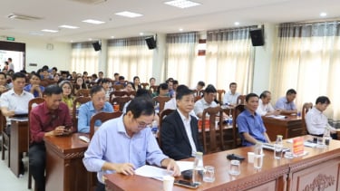 Đắk Lắk tăng cường quản lý chất lượng và an toàn thực phẩm nông, lâm, thủy sản