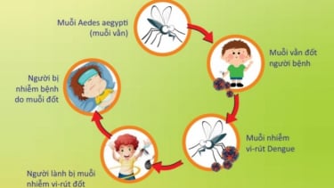 Đắk Nông chủ động phòng, chống sốt xuất huyết trong thời điểm giao mùa