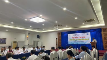 Đà Nẵng: Tăng cường kết hợp Đông - Tây y trong phòng, chống bệnh sởi