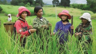 Kon Tum: Đẩy nhanh thực hiện hoàn thành mục tiêu về giảm nghèo năm 2025 và giai đoạn 2021 – 2025