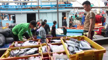Quảng Ngãi phát động cao điểm xử lý vi phạm khai thác IUU