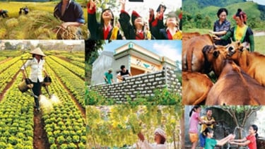 Thành lập Ban Chỉ đạo Trung ương các chương trình mục tiêu quốc gia giai đoạn 2021 - 2025