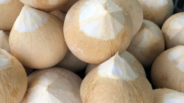 Uống nước dừa giải nhiệt theo cách này càng tăng lợi ích cho sức khỏe
