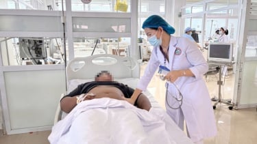 Đắk Lắk: Ghi nhận 8 trường hợp bệnh nhân bị ngộ độc nấm